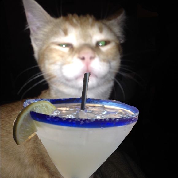 Meet your Posher, Cindy - Picture 7 of 8